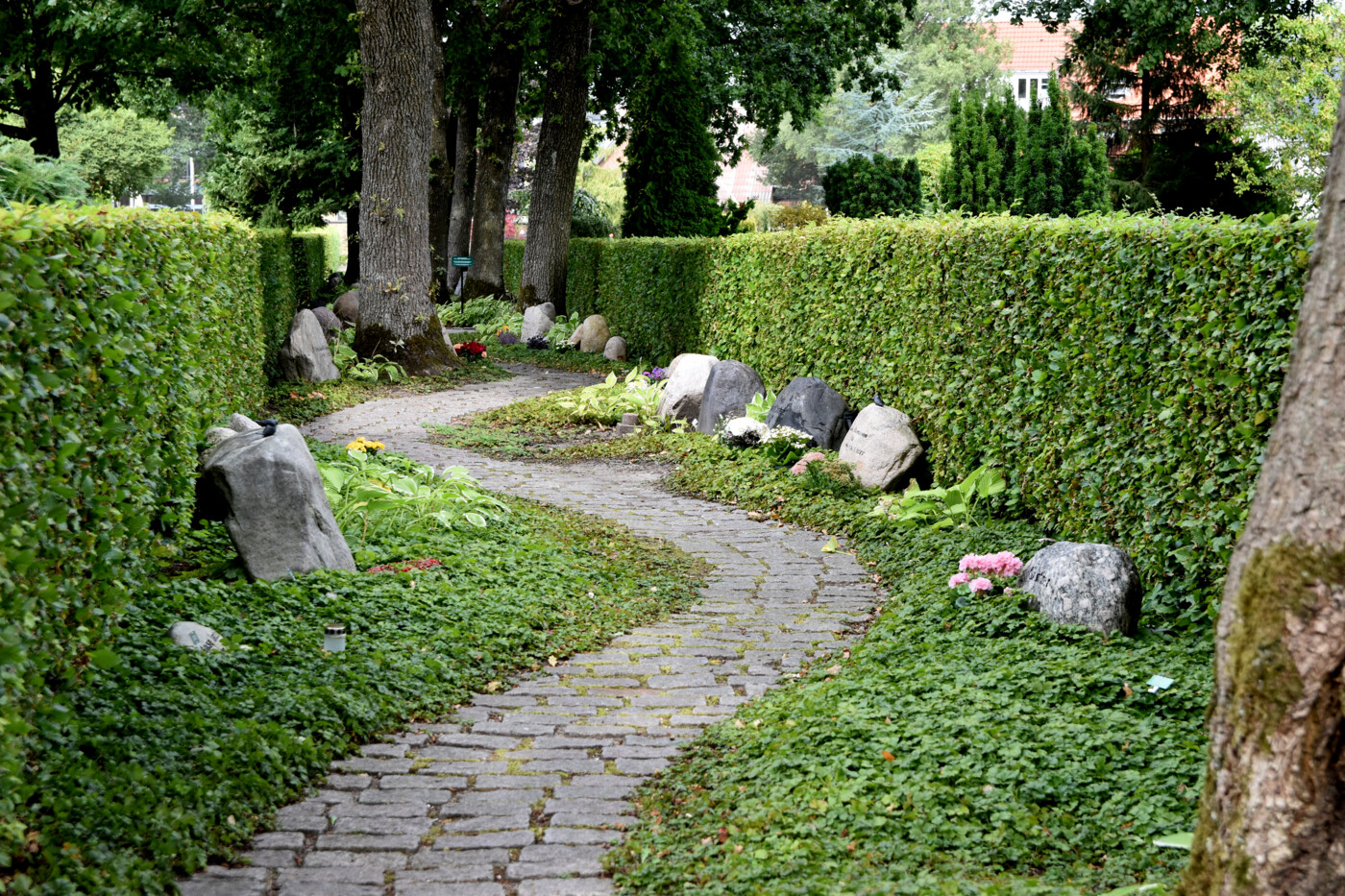 20220905 Vestre Kirkegård i Herning (5)