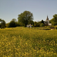 20250517 VejrumKirke fotoHenrikHelms - 1.jpeg