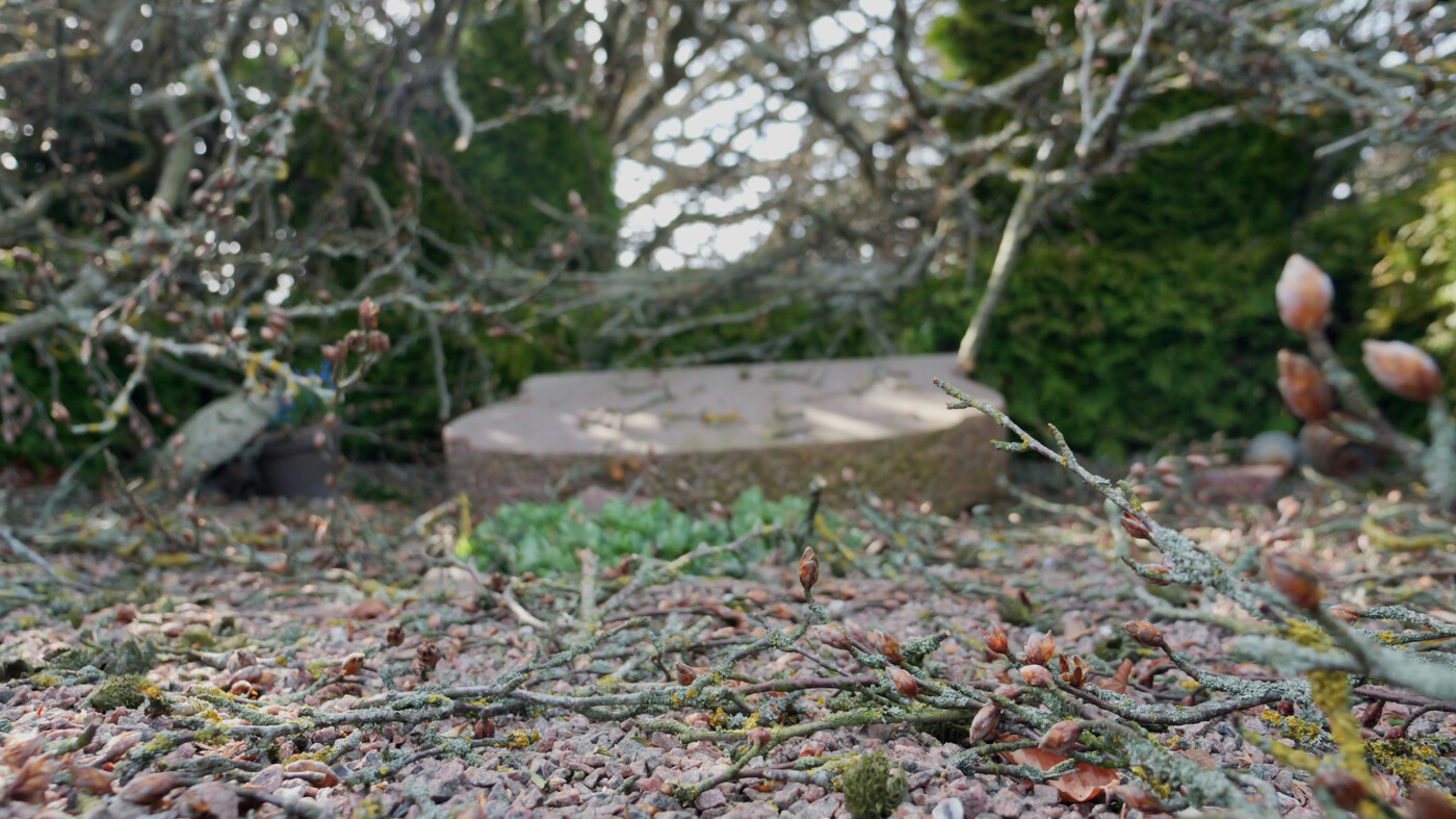 20260408 Sjørslev - 8.jpeg