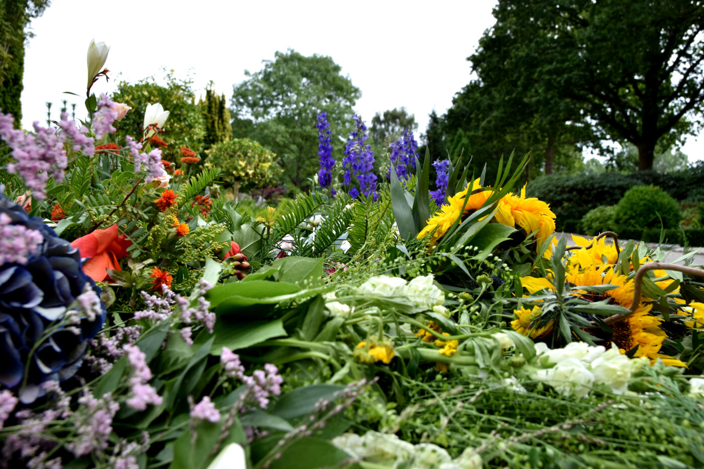 20220905 Vestre Kirkegård i Herning - blomster