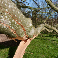 20260408 Sjørslev - 5.jpeg