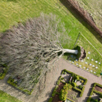 20260408 Sjørslev - 1.jpeg