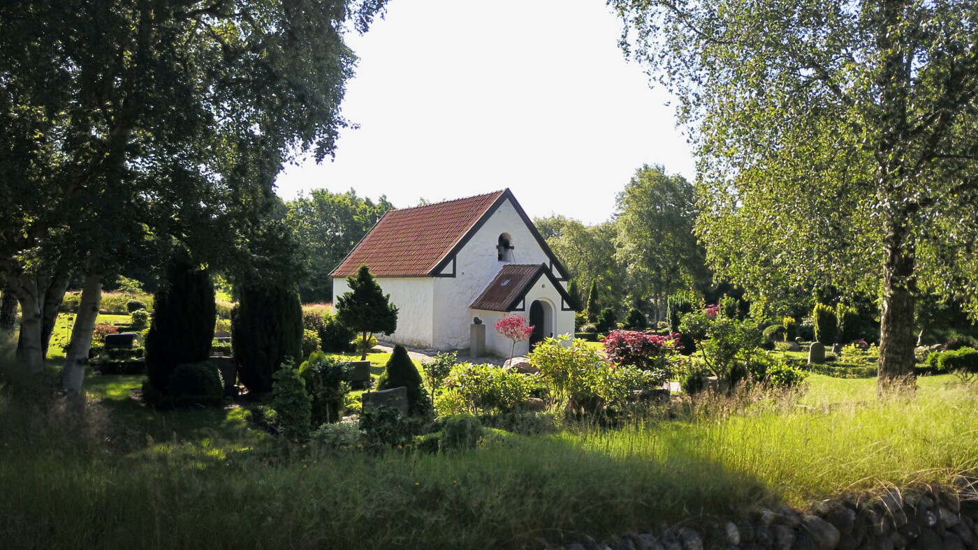 20250325 Venø_fotoHenrikHelms - 3.jpeg