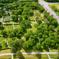 20250527 HOlstebro Engkirkegård fotoHenrikHelms - 3.jpeg