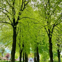 Gjellerup kirke_fotoHenrikHelmsViborgStift - 25.jpeg