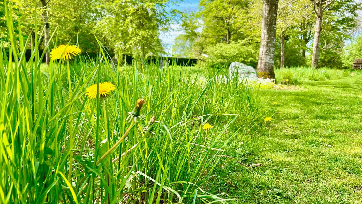 20250620_GjellerupParkkirkegaard_fotoHenrikHelmsViborgStift - 2.jpeg