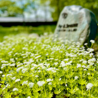 20250620_GjellerupParkkirkegaard_fotoHenrikHelmsViborgStift - 3.jpeg