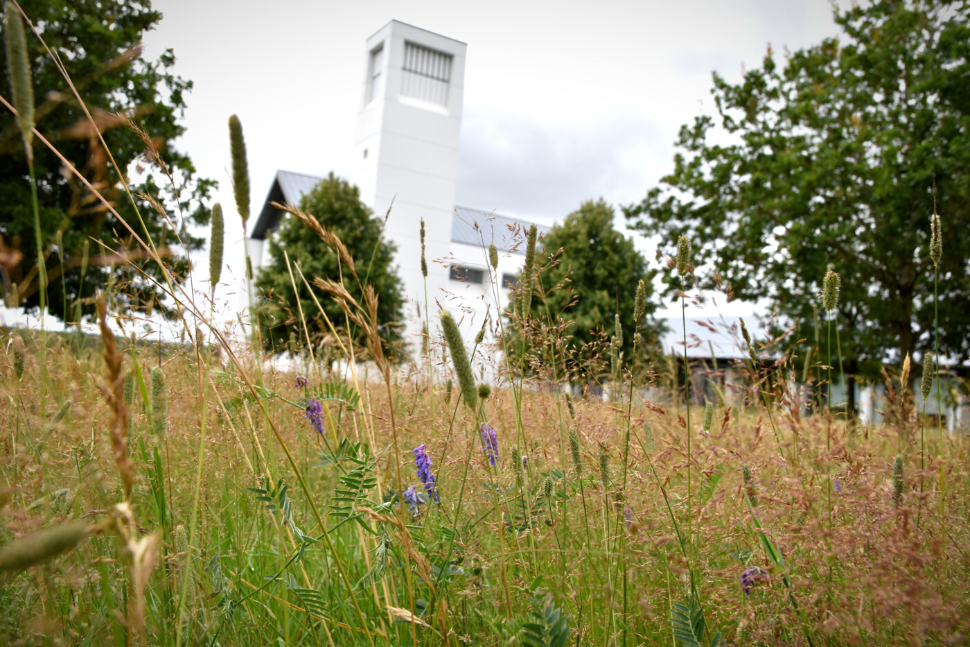 20230720_Gullestrup Kirke