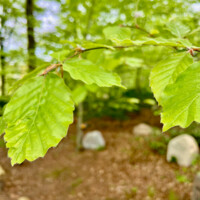 20250620_HolstebroKirkegaard_fotoHenrikHelmsViborgStift - 6.jpeg
