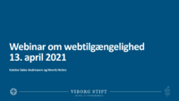 210413_1_Webtilgængelighed.pdf