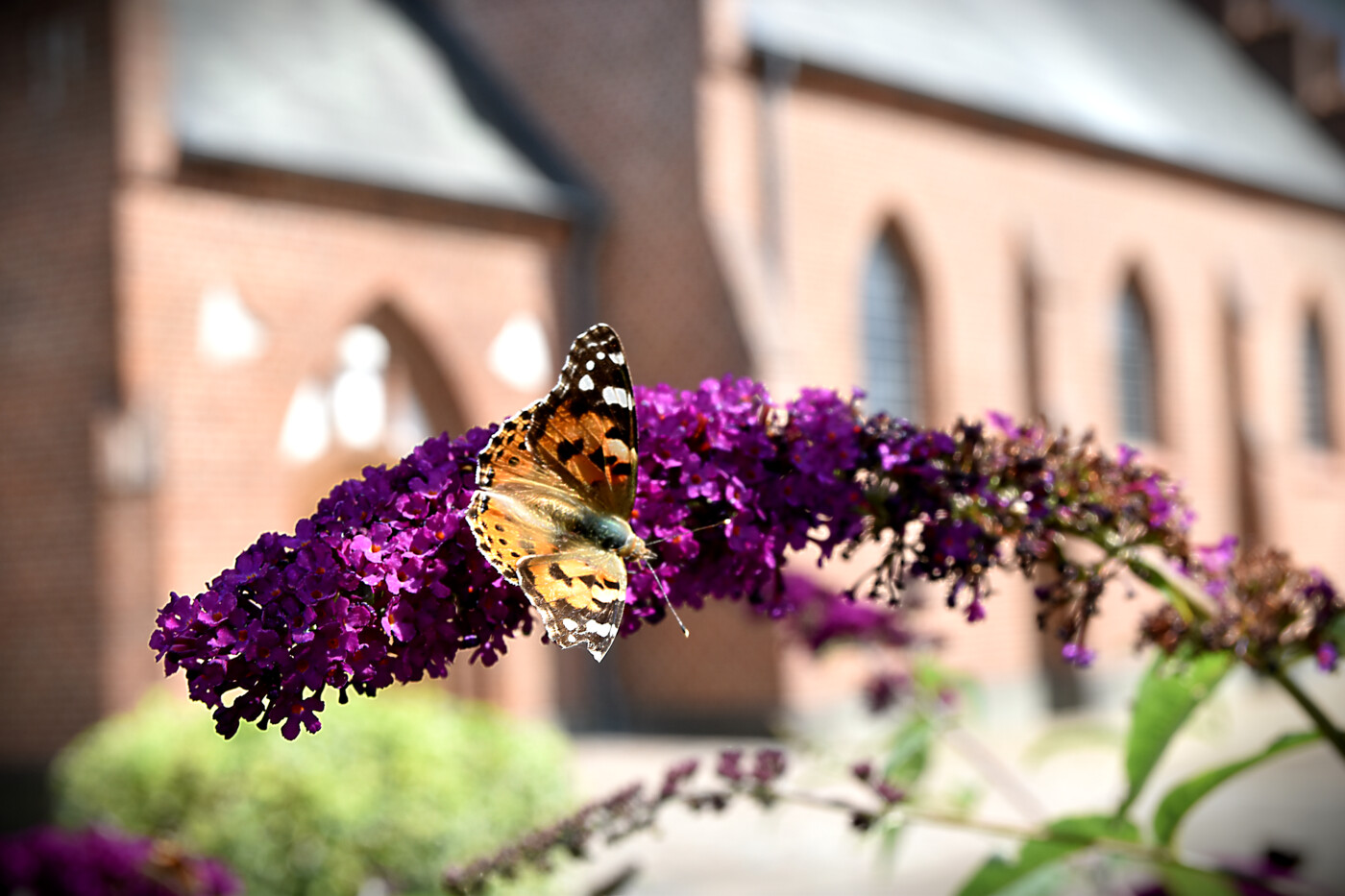 20190802 Fasterholt Kirke