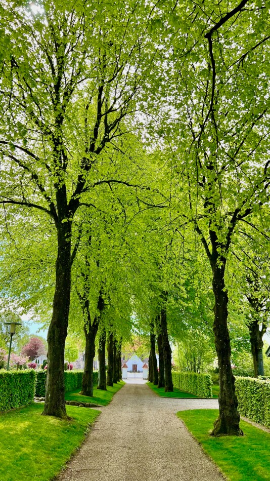 Gjellerup kirke_fotoHenrikHelmsViborgStift - 25.jpeg