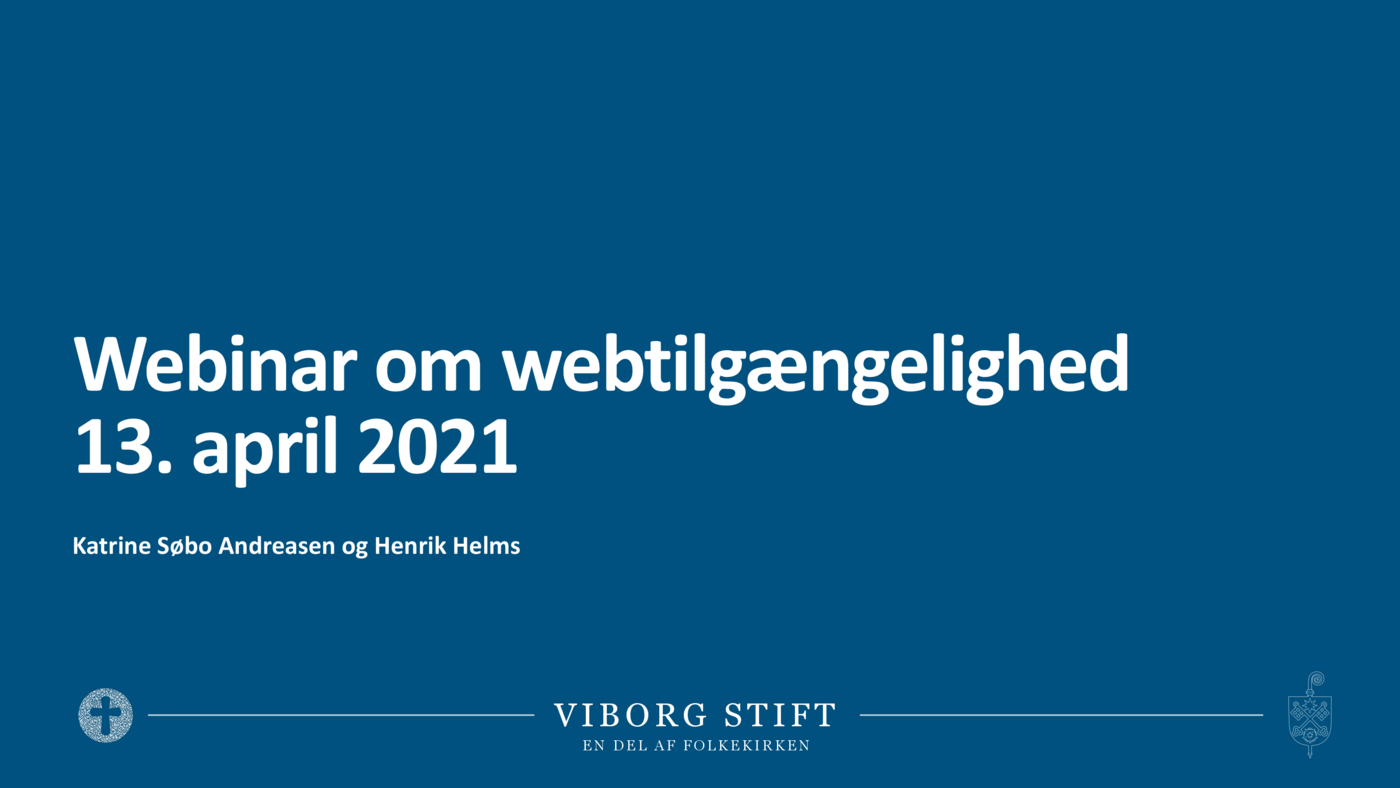 210413_1_Webtilgængelighed.pdf