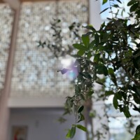 20260219_05 Egeris kirke foto Henrik Helms Viborg Stift.jpeg