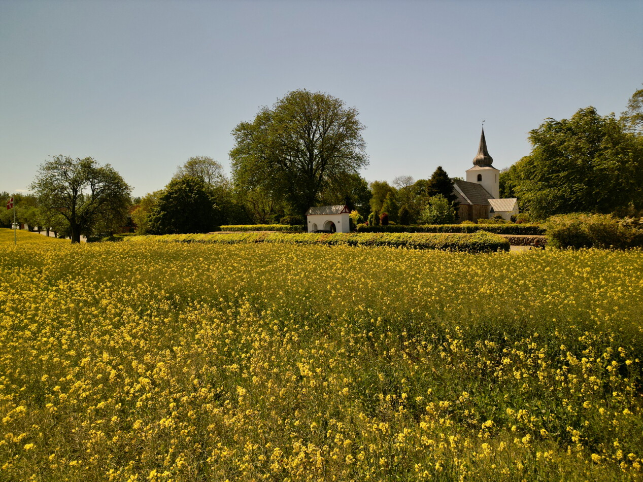 20250517 VejrumKirke fotoHenrikHelms - 1.jpeg