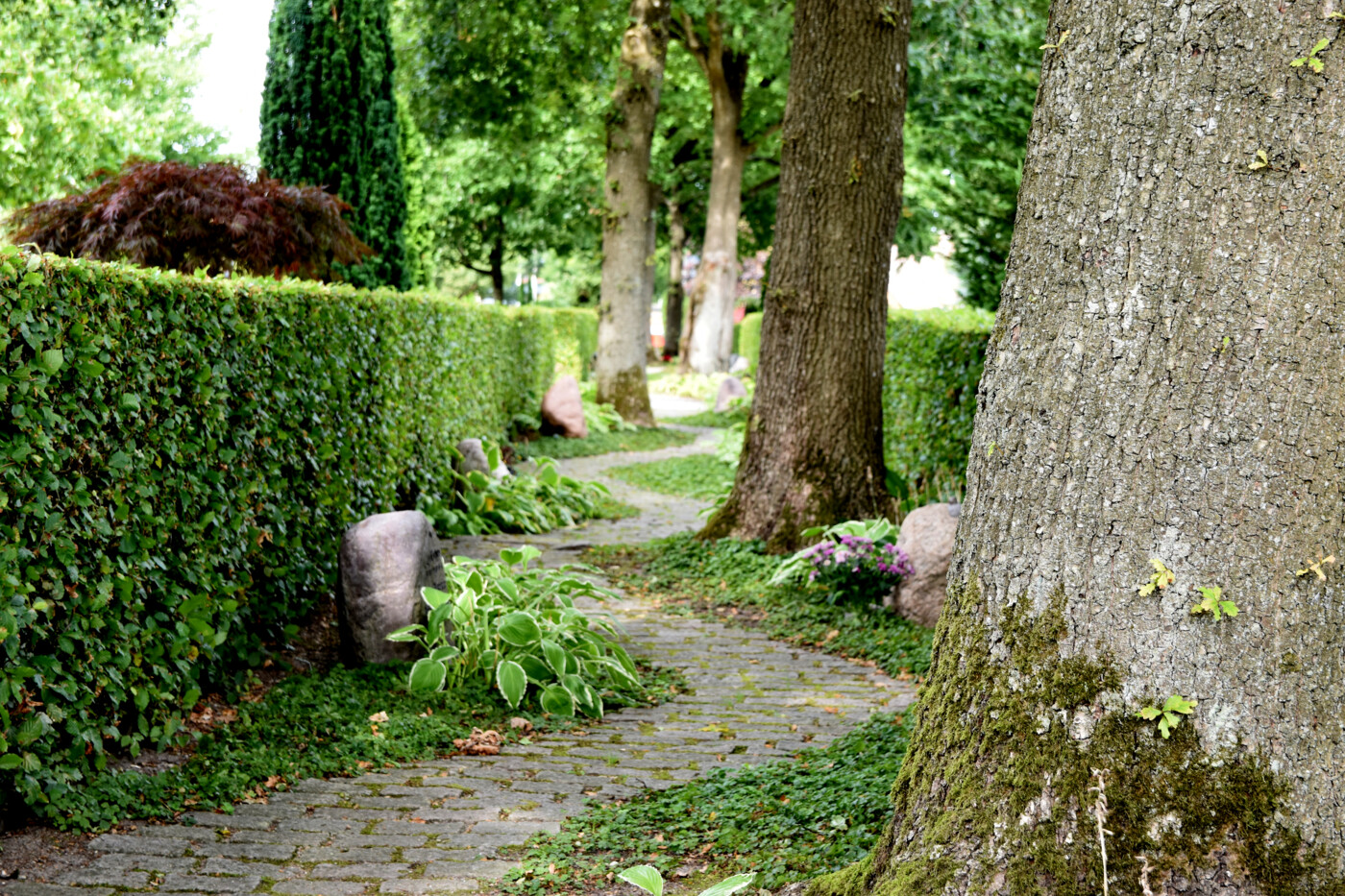 20220905 Vestre Kirkegård i Herning (3)