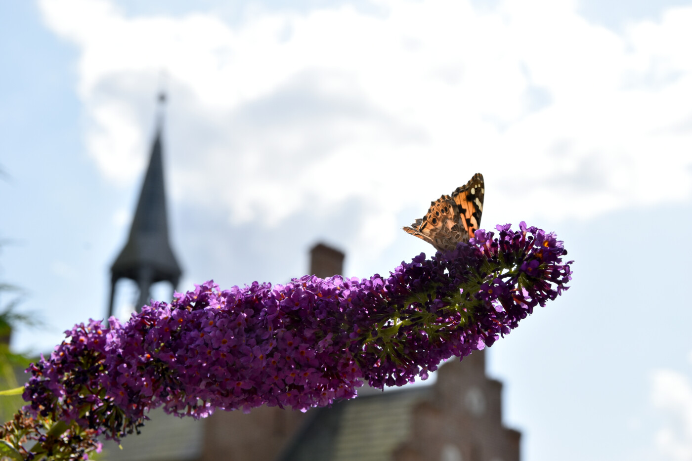 20190802 Fasterholt Kirke (2)