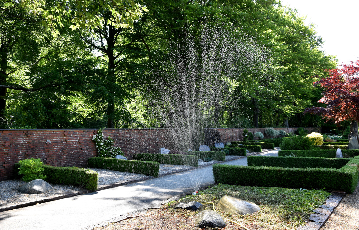 20230614_VestreKirkegård_Herning_vanding